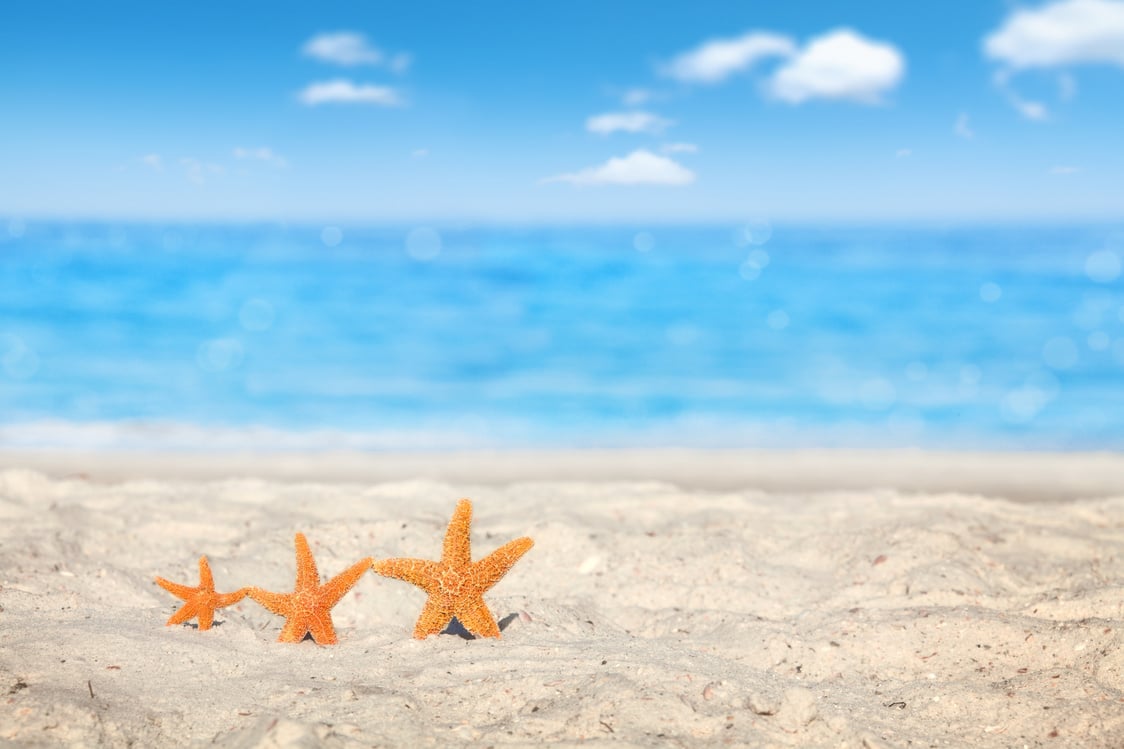 starfish family vacation